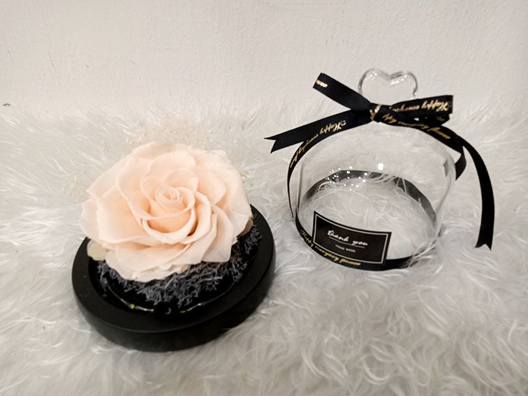 Preserved Flowers 09