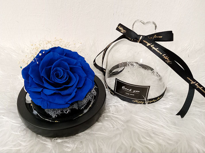 Preserved Flowers 07