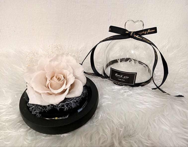 Preserved Flowers 05